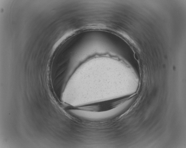 X0000080121325200701051345