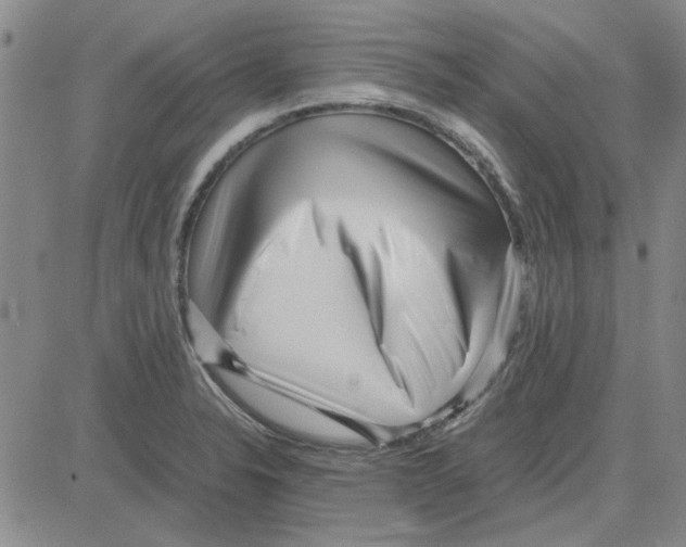 X0000080121326200701051345