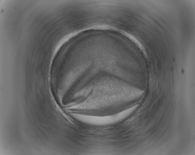 X0000080121327200701051345