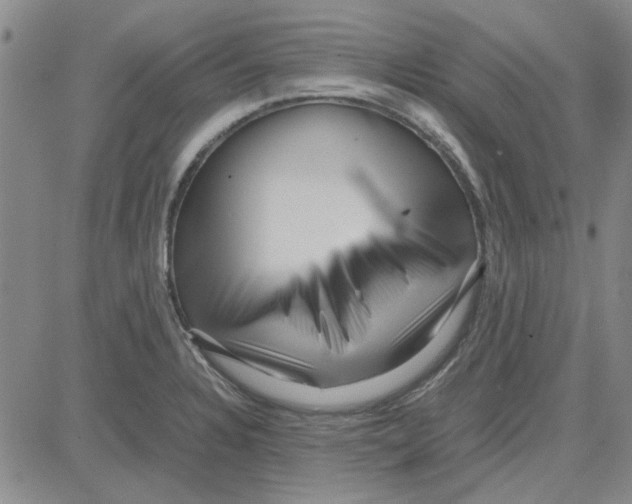 X0000080121328200701051345