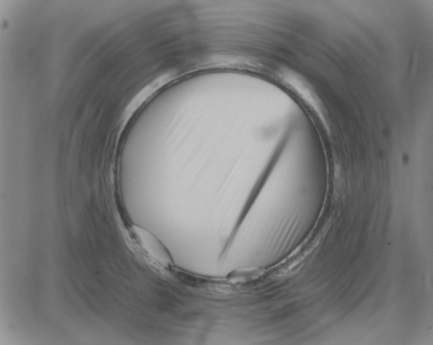 X0000080121330200701051345