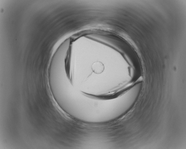 X0000080121344200701051345