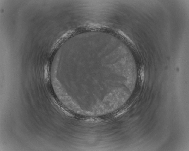 X0000080121348200701051344