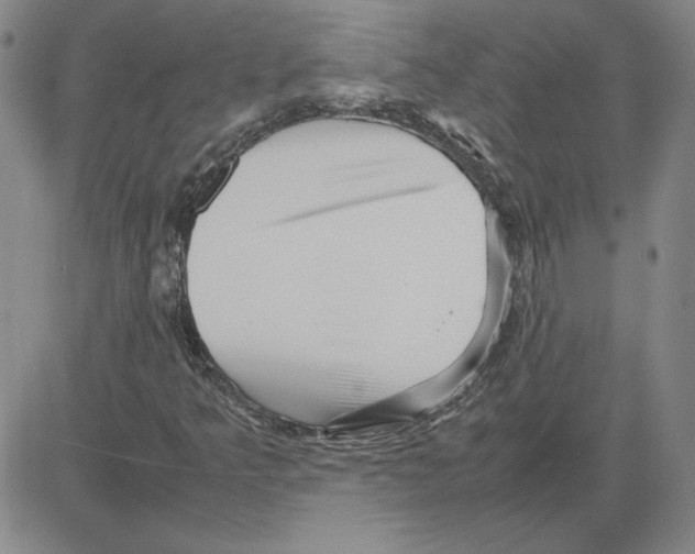 X0000080121349200701051344