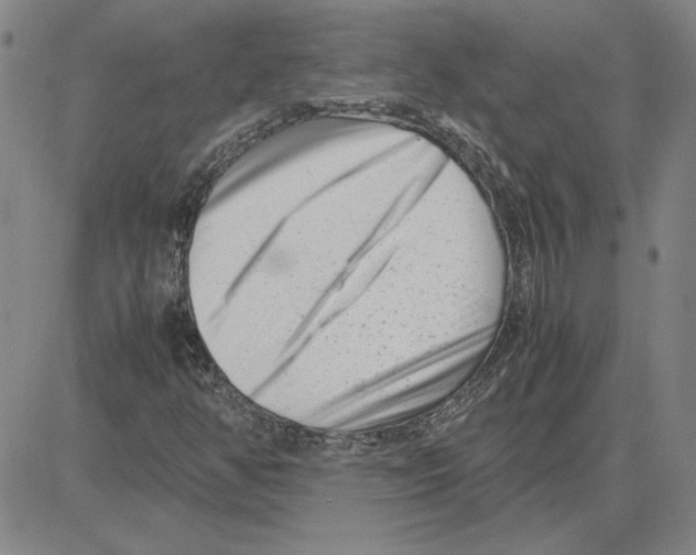 X0000080121350200701051344