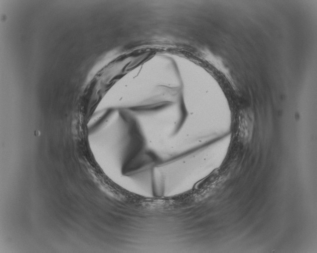 X0000080121352200701051344