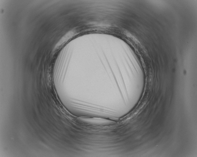 X0000080121354200701051344