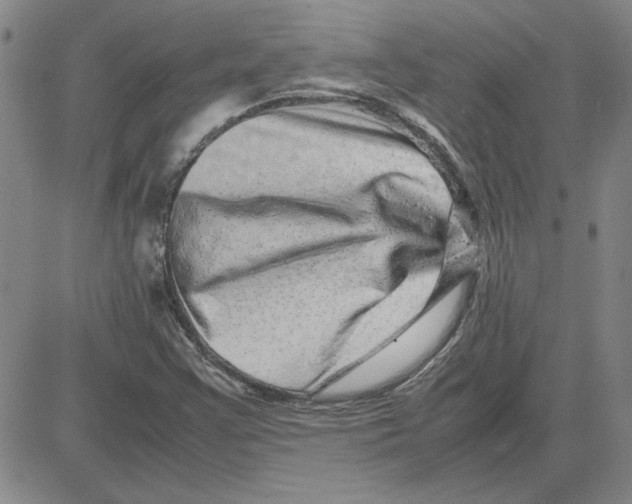 X0000080121355200701051344