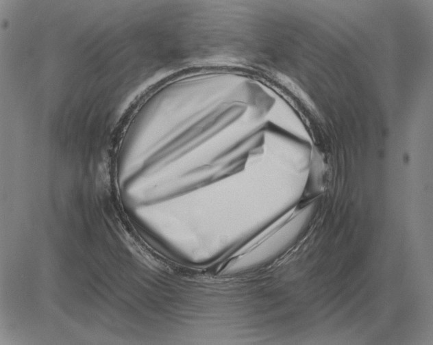 X0000080121356200701051344