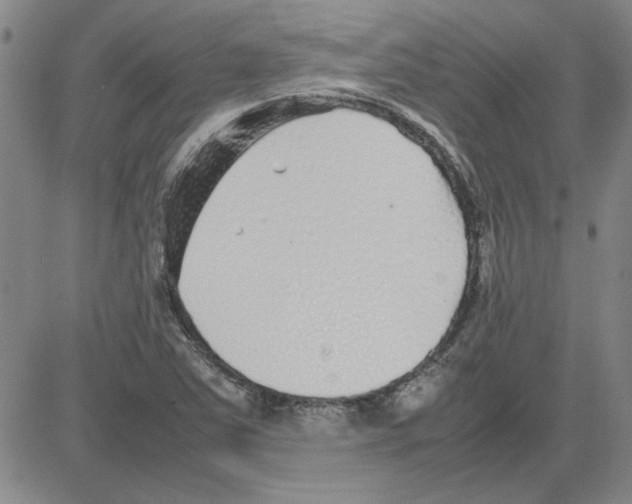 X0000080121363200701051344