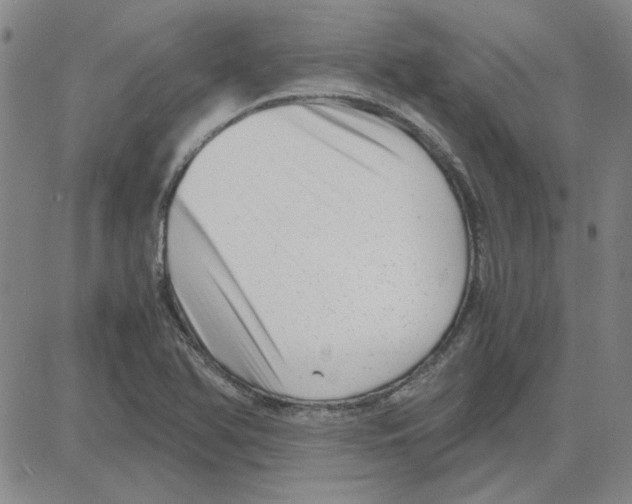 X0000080121366200701051344