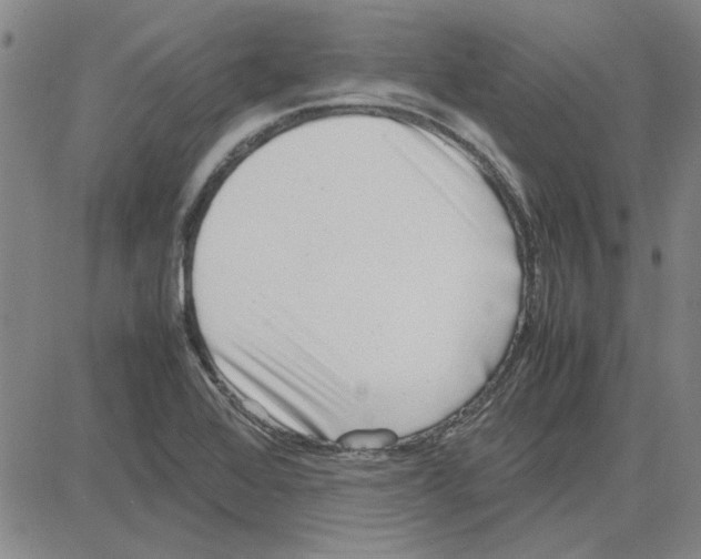 X0000080121368200701051344