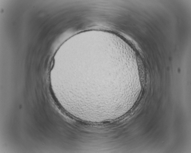 X0000080121375200701051344
