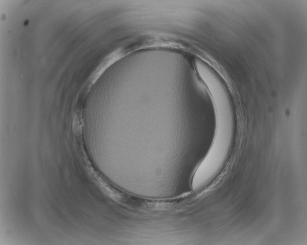 X0000080121377200701051344