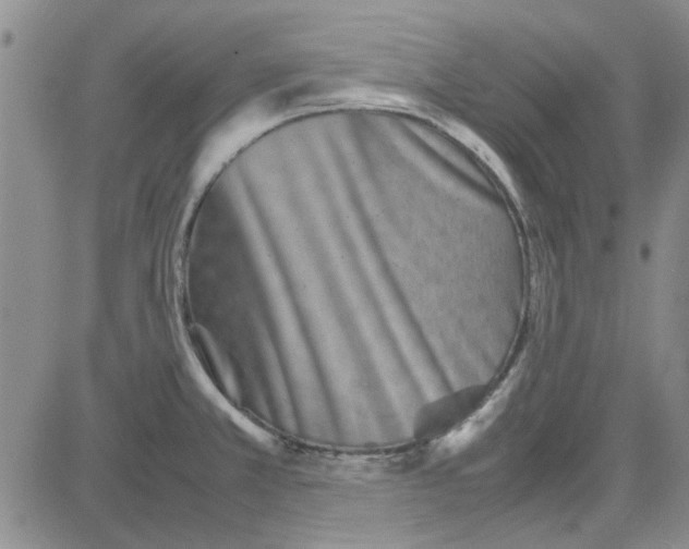 X0000080121381200701051344