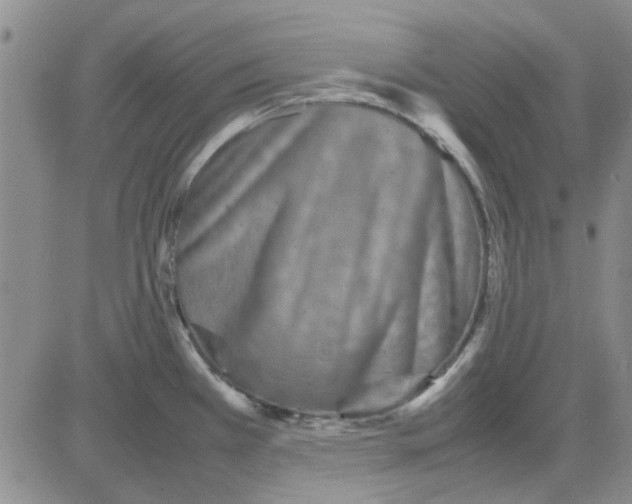 X0000080121385200701051343