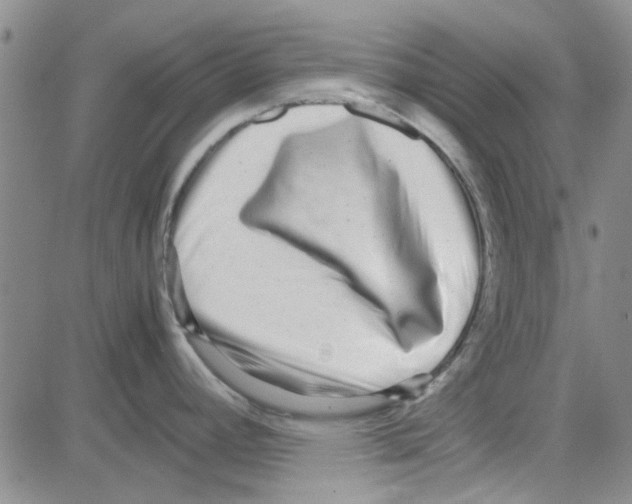 X0000080121392200701051343
