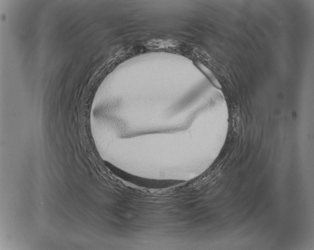 X0000080121393200701051343