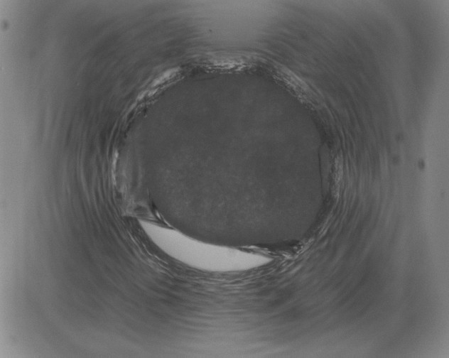 X0000080121394200701051343