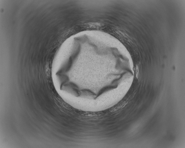 X0000080121395200701051343