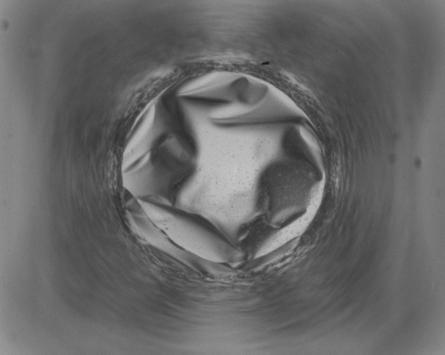 X0000080121398200701051343