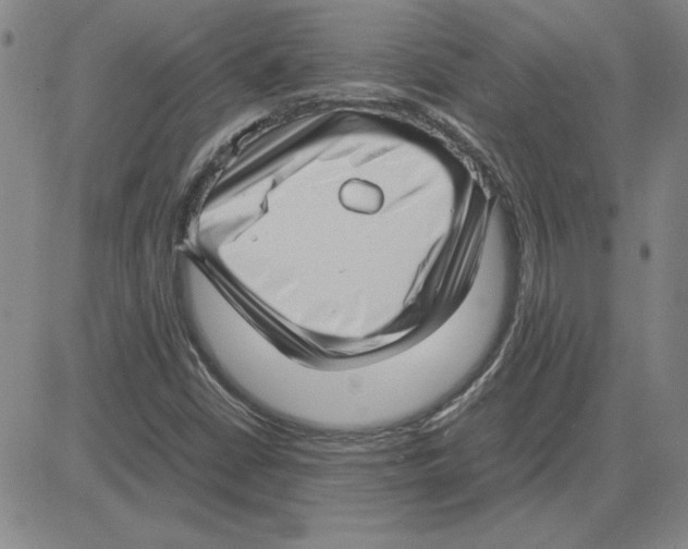 X0000080121402200701051343