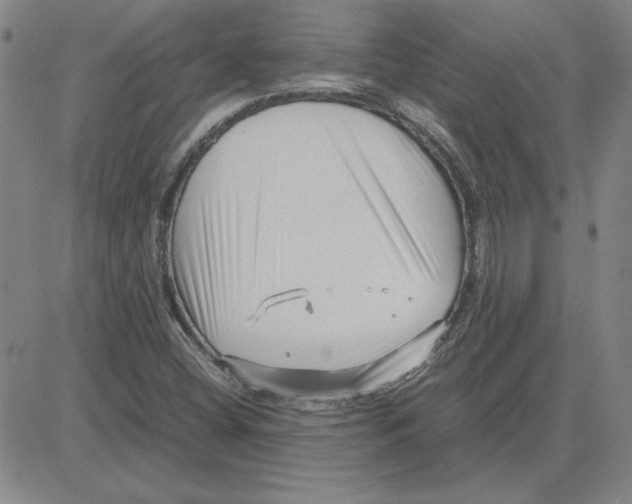 X0000080121404200701051343