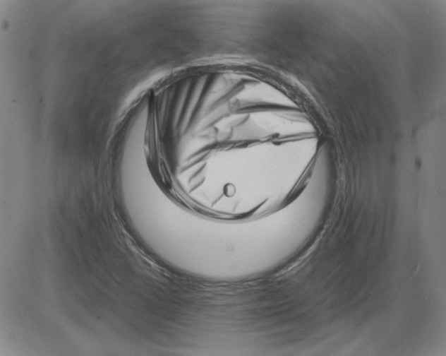 X0000080121406200701051343
