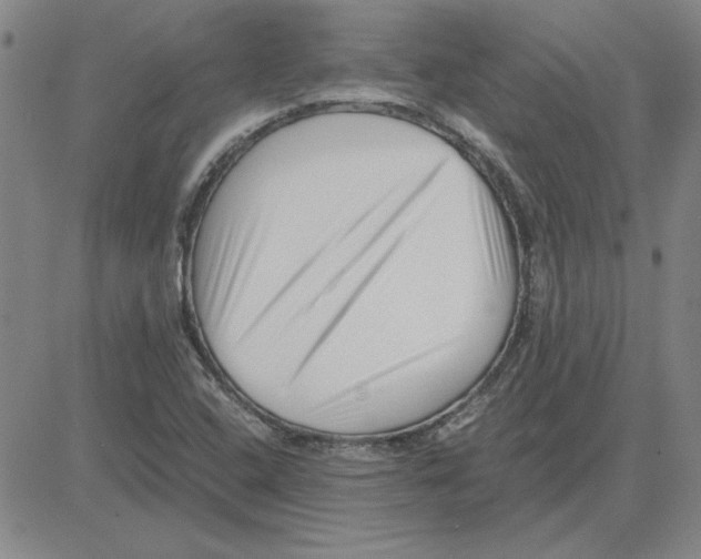 X0000080121408200701051343