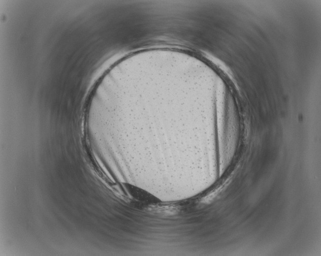 X0000080121415200701051343