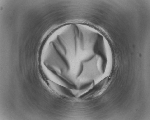 X0000080121422200701051343