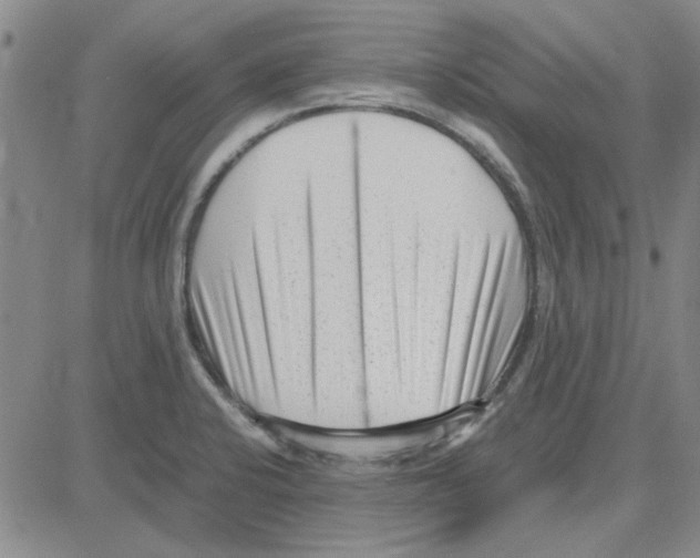 X0000080121424200701051343