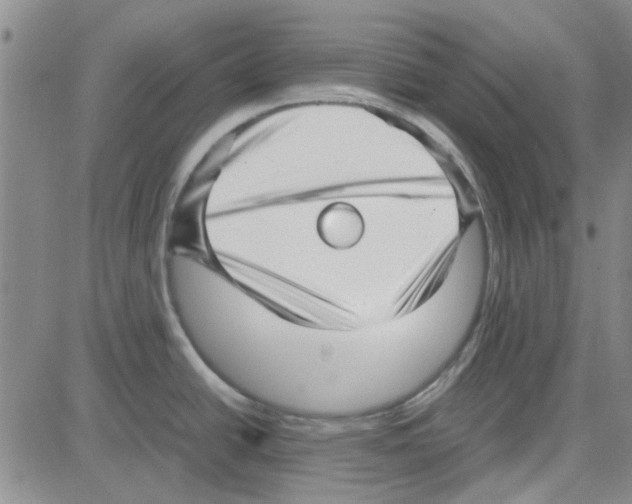 X0000080121438200701051343