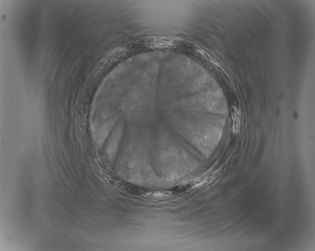 X0000080121441200701051343