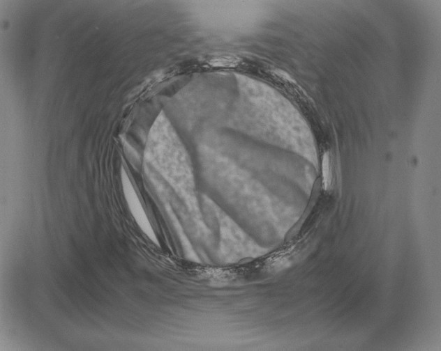 X0000080121443200701051343