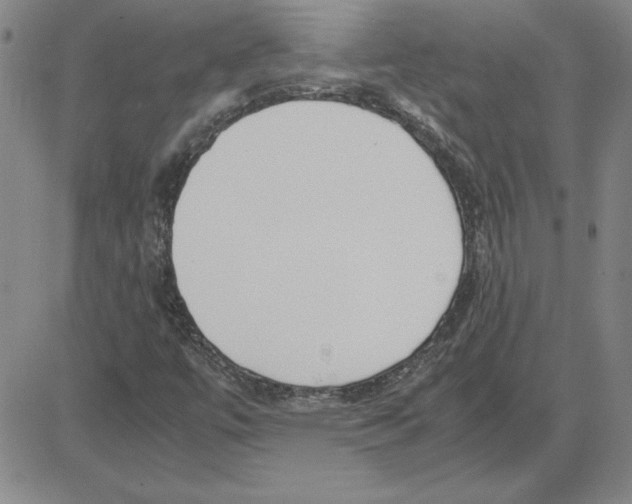 X0000080121447200701051342