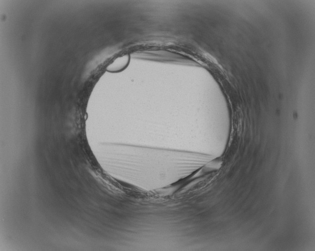 X0000080121448200701051342