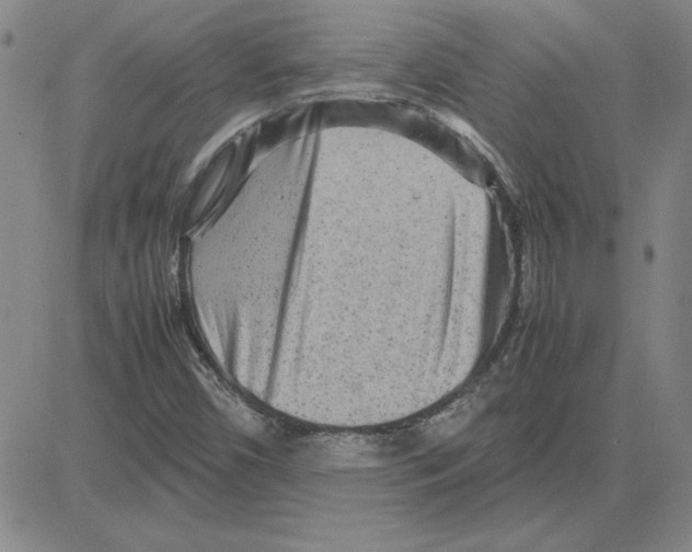 X0000080121450200701051342