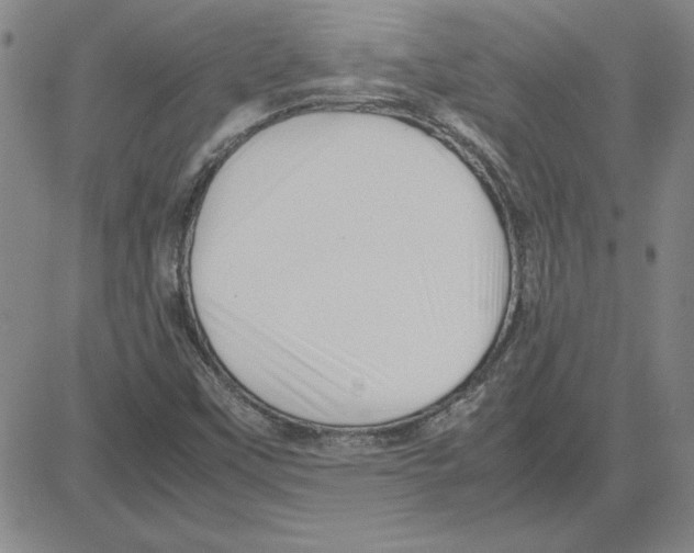 X0000080121451200701051342