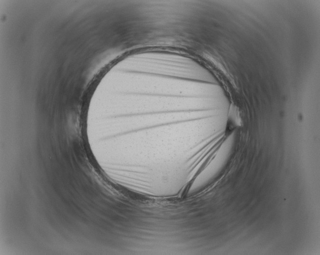 X0000080121452200701051342