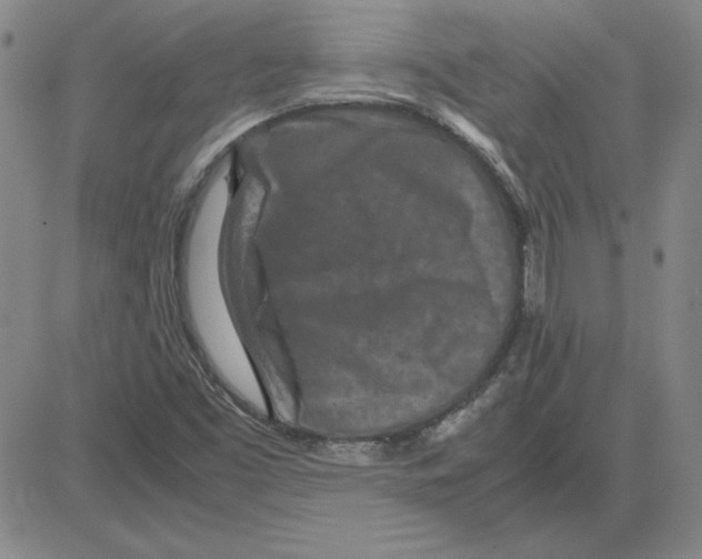 X0000080121453200701051342