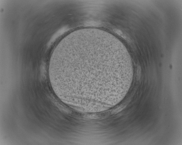 X0000080121454200701051342