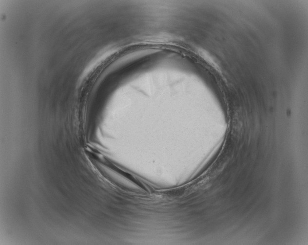 X0000080121456200701051342
