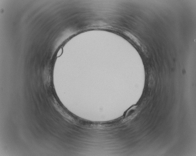 X0000080121458200701051342