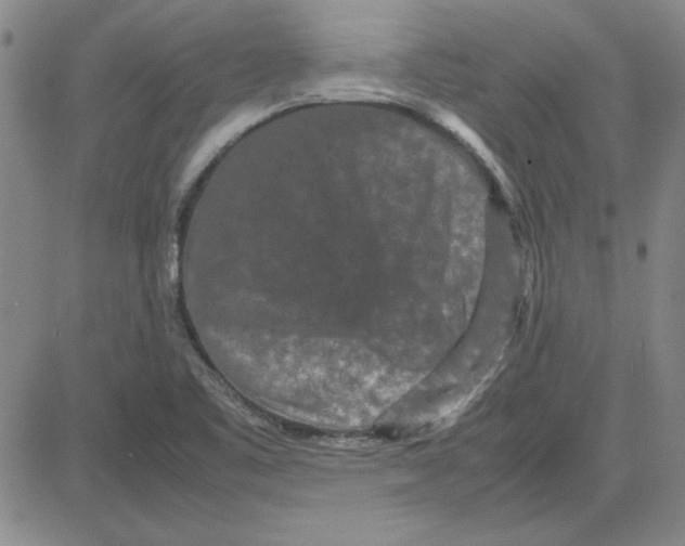 X0000080121461200701051342