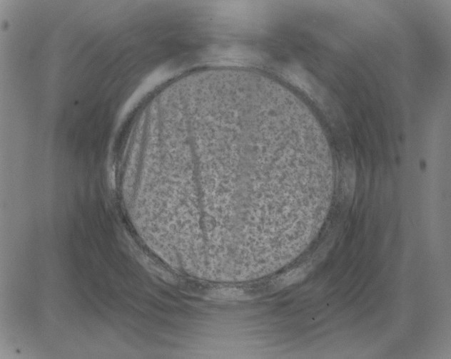 X0000080121462200701051342