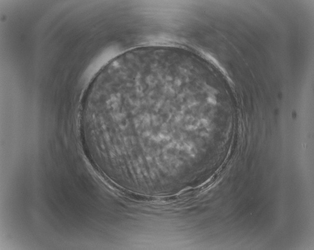 X0000080121463200701051342