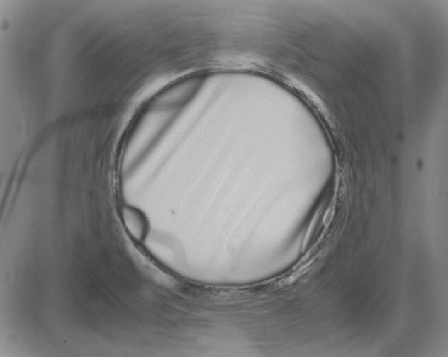 X0000080121471200701051342