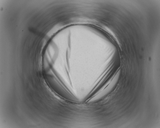 X0000080121472200701051342