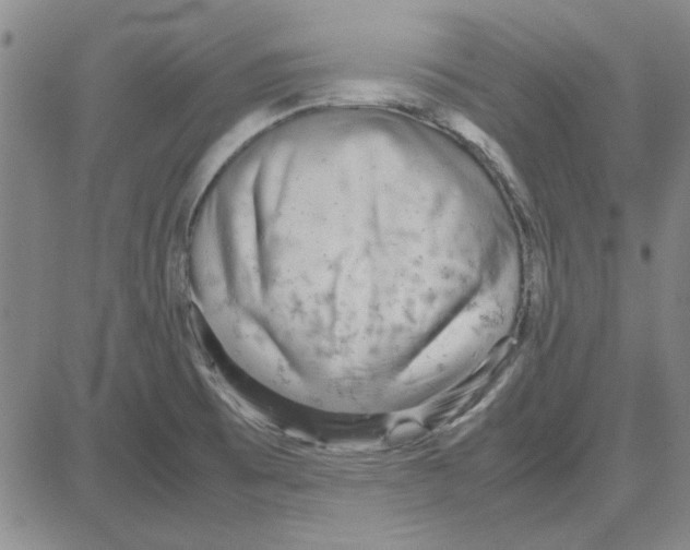 X0000080121473200701051342
